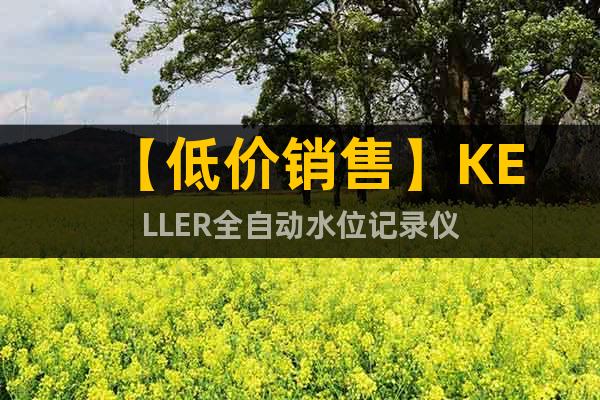 【低價銷售】KELLER全自動水位記錄儀