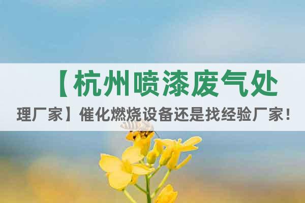 【杭州噴漆廢氣處理廠家】催化燃燒設(shè)備還是找經(jīng)驗廠家！