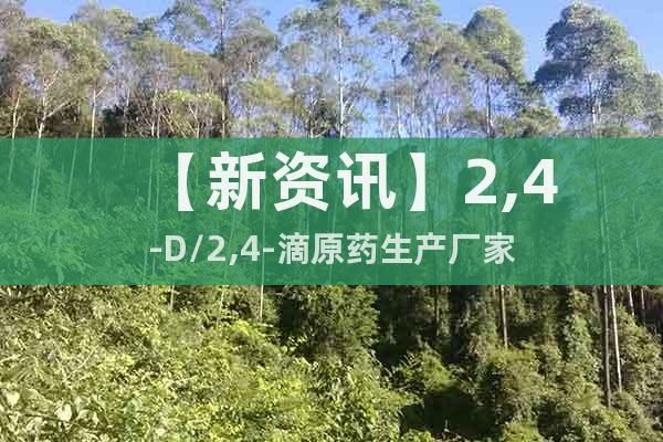 【新資訊】2,4-D/2,4-滴原藥生產(chǎn)廠家