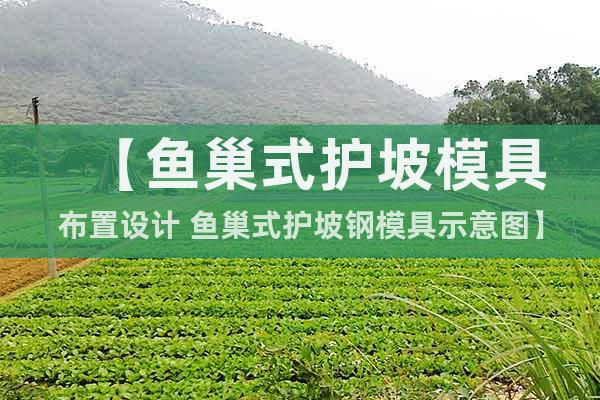 【魚巢式護坡模具布置設(shè)計 魚巢式護坡鋼模具示意圖】