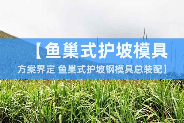 【魚巢式護(hù)坡模具方案界定 魚巢式護(hù)坡鋼模具總裝配】