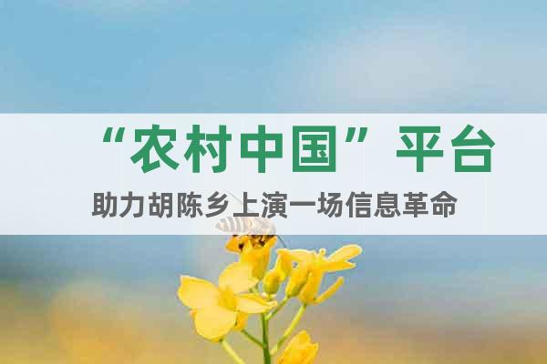 “农村中国”平台助力胡陈乡上演一场信息革命