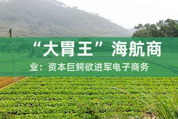 “大胃王”海航商業(yè)：資本巨鱷欲進軍電子商務