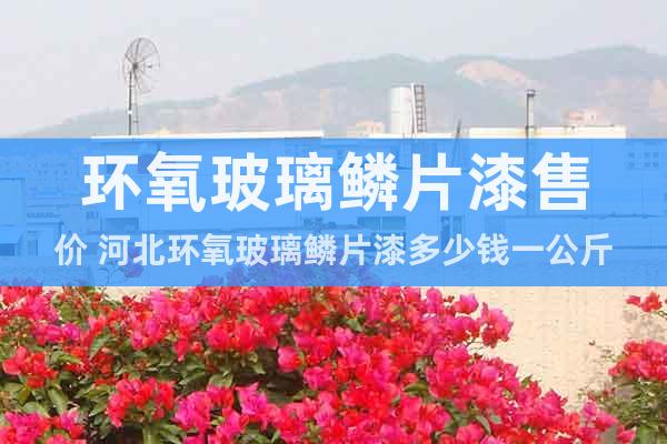 環(huán)氧玻璃鱗片漆售價(jià) 河北環(huán)氧玻璃鱗片漆多少錢一公斤
