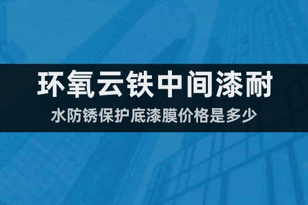 環(huán)氧云鐵中間漆耐水防銹保護底漆膜價格是多少