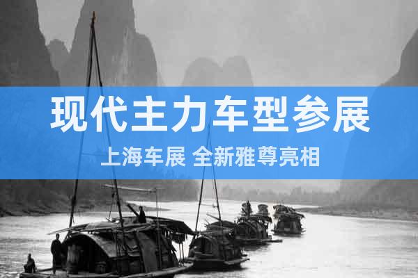 現(xiàn)代主力車型參展上海車展 全新雅尊亮相