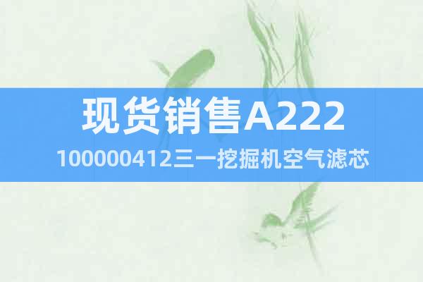 現(xiàn)貨銷售A222100000412三一挖掘機(jī)空氣濾芯