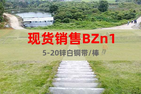 现货销售BZn15-20锌白铜带/棒