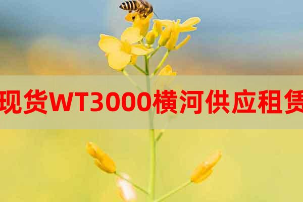 現(xiàn)貨WT3000橫河供應(yīng)租賃
