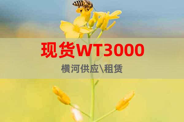 現(xiàn)貨WT3000橫河供應(yīng)\租賃