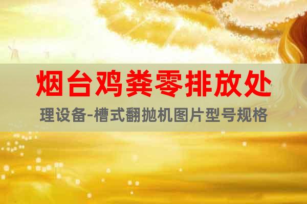 煙臺雞糞零排放處理設(shè)備-槽式翻拋機圖片型號規(guī)格