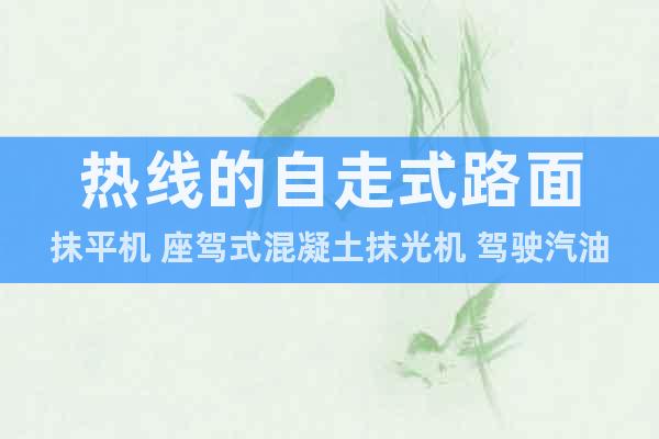 熱線的自走式路面抹平機(jī) 座駕式混凝土抹光機(jī) 駕駛汽油抹子