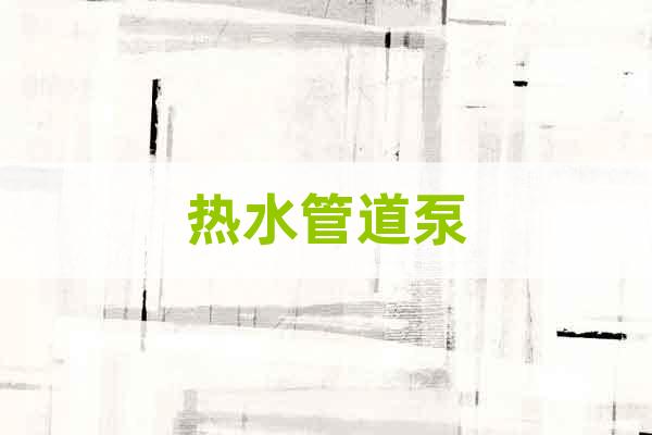 熱水管道泵