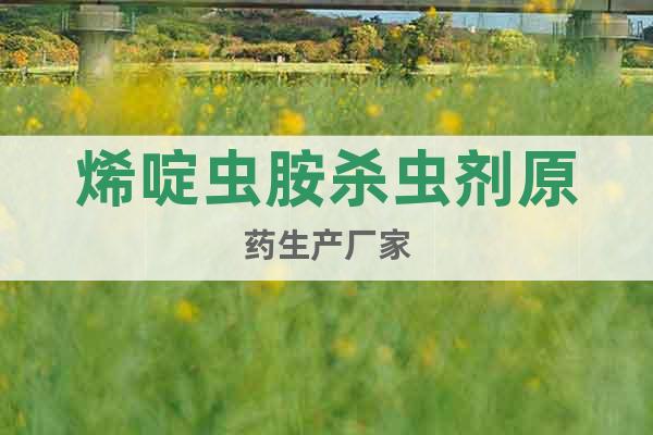 烯啶蟲(chóng)胺殺蟲(chóng)劑原藥生產(chǎn)廠家