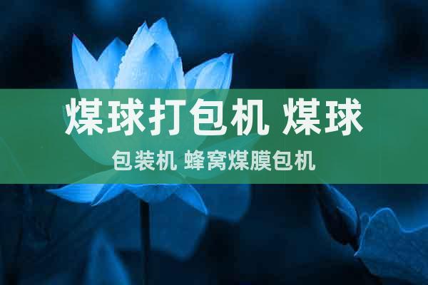 煤球打包機(jī) 煤球包裝機(jī) 蜂窩煤膜包機(jī)