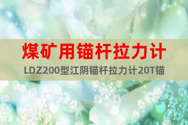 煤礦用錨桿拉力計LDZ200型江陰錨桿拉力計20T錨桿拉力計