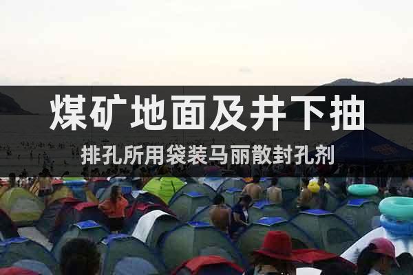 煤礦地面及井下抽排孔所用袋裝馬麗散封孔劑