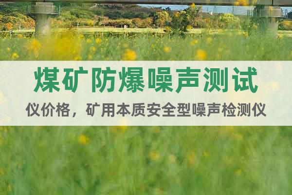 煤礦防爆噪聲測試儀價格，礦用本質安全型噪聲檢測儀