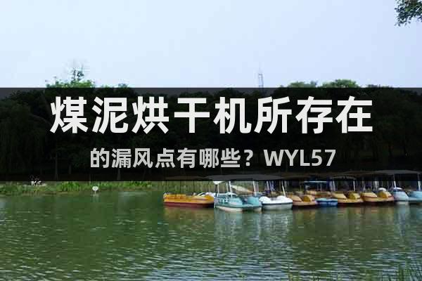 煤泥烘干機所存在的漏風(fēng)點有哪些？WYL57