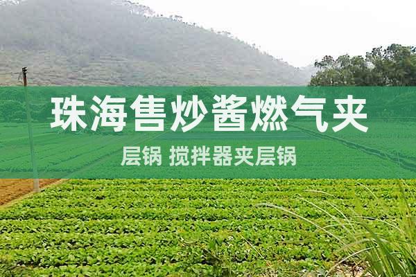 珠海售炒醬燃氣夾層鍋 攪拌器夾層鍋