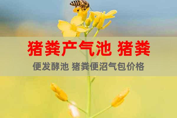 豬糞產(chǎn)氣池 豬糞便發(fā)酵池 豬糞便沼氣包價格