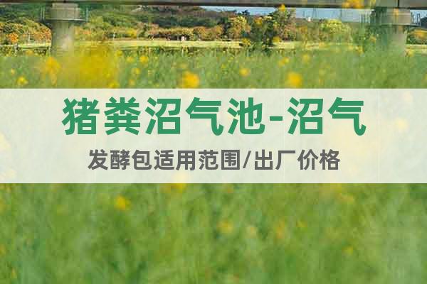 豬糞沼氣池-沼氣發(fā)酵包適用范圍/出廠價格