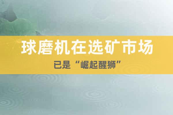 球磨機在選礦市場已是“崛起醒獅”