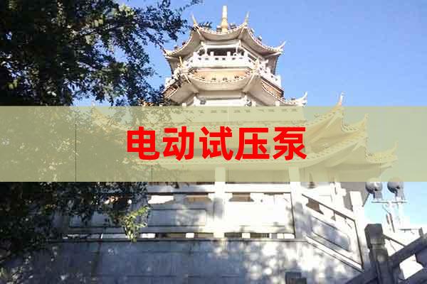 電動試壓泵
