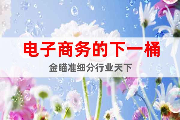 電子商務的下一桶金瞄準細分行業(yè)天下