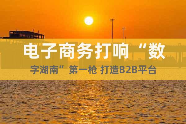 電子商務(wù)打響“數(shù)字湖南”第一槍 打造B2B平臺