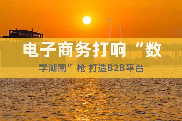 電子商務(wù)打響“數(shù)字湖南”槍 打造B2B平臺(tái)