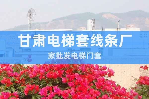 甘肅電梯套線條廠家批發(fā)電梯門套