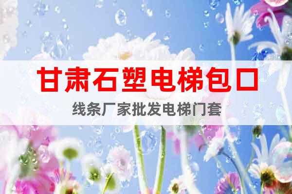 甘肅石塑電梯包口線條廠家批發(fā)電梯門套