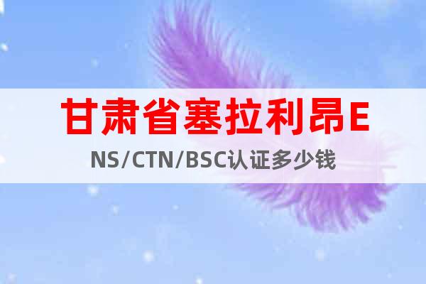 甘肃省塞拉利昂ENS/CTN/BSC认证多少钱