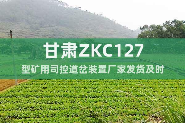 甘肃ZKC127型矿用司控道岔装置厂家发货及时