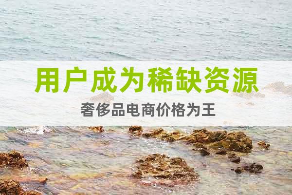 用戶成為稀缺資源 奢侈品電商價格為王