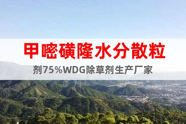 甲嘧磺隆水分散粒劑75%WDG除草劑生產(chǎn)廠家