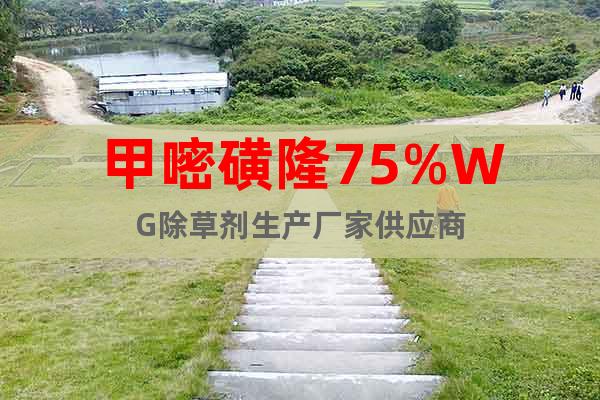 甲嘧磺隆75%WG除草劑生產(chǎn)廠家供應(yīng)商