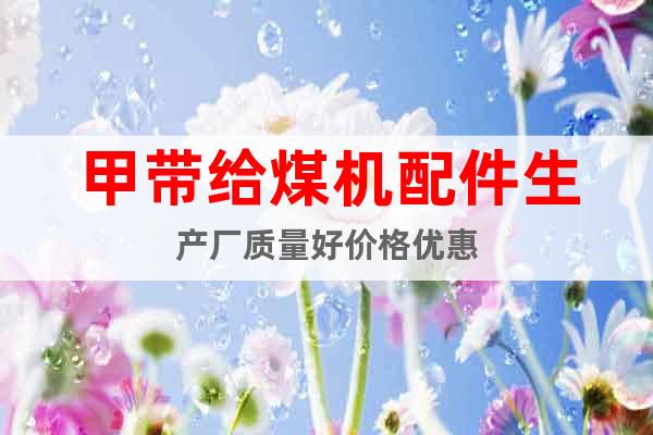 甲帶給煤機(jī)配件生產(chǎn)廠質(zhì)量好價(jià)格優(yōu)惠