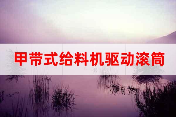 甲帶式給料機驅動滾筒