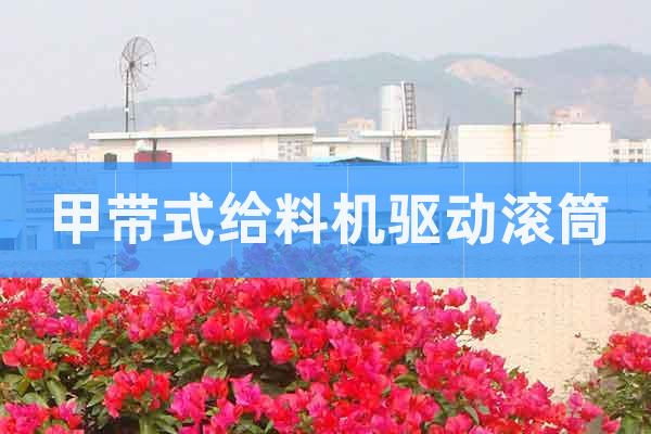 甲帶式給料機(jī)驅(qū)動(dòng)滾筒