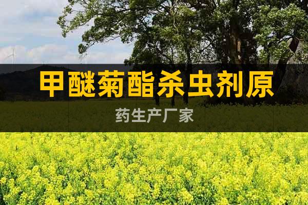 甲醚菊酯殺蟲劑原藥生產(chǎn)廠家