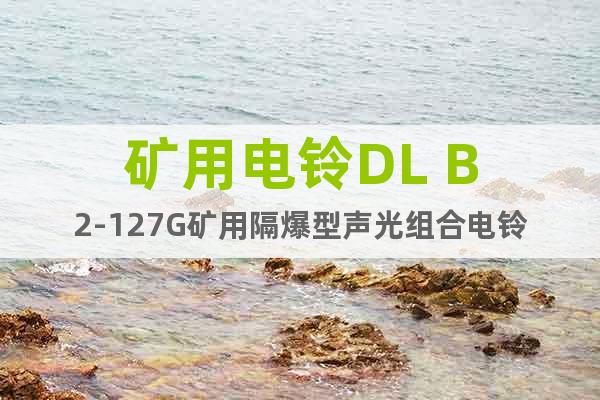 礦用電鈴DL B2-127G礦用隔爆型聲光組合電鈴