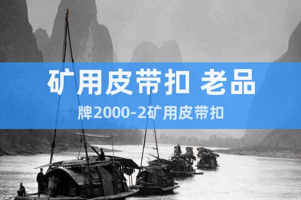 礦用皮帶扣 老品牌2000-2礦用皮帶扣