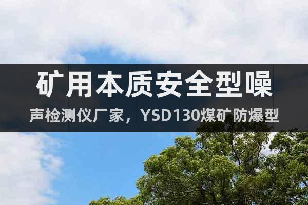 礦用本質安全型噪聲檢測儀廠家，YSD130煤礦防爆型噪聲計