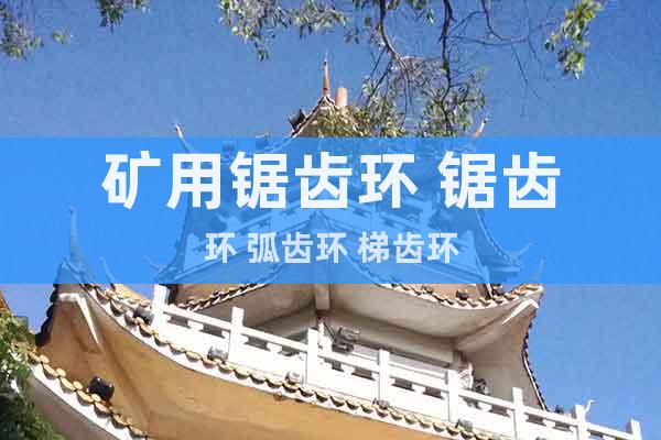 礦用鋸齒環(huán) 鋸齒環(huán) 弧齒環(huán) 梯齒環(huán)