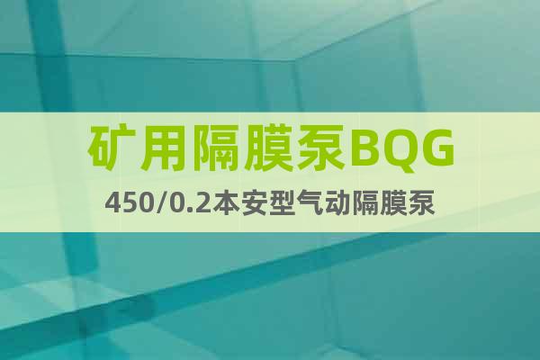 矿用隔膜泵BQG450/0.2本安型气动隔膜泵
