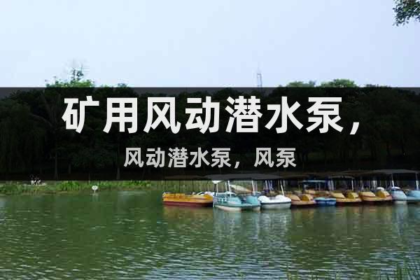 礦用風動潛水泵，風動潛水泵，風泵