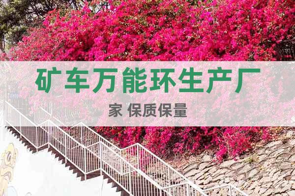 礦車萬能環(huán)生產廠家 保質保量