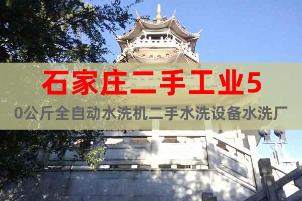 石家莊二手工業(yè)50公斤全自動水洗機二手水洗設(shè)備水洗廠設(shè)備價格